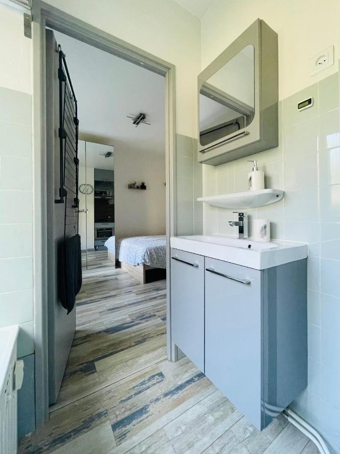 סאן לואיס Dnn - Stylish Studio - Free Wifi, Netflix And Parking - Min Away To Basel And Airport - Dishwasher, Washing Machine מראה חיצוני תמונה