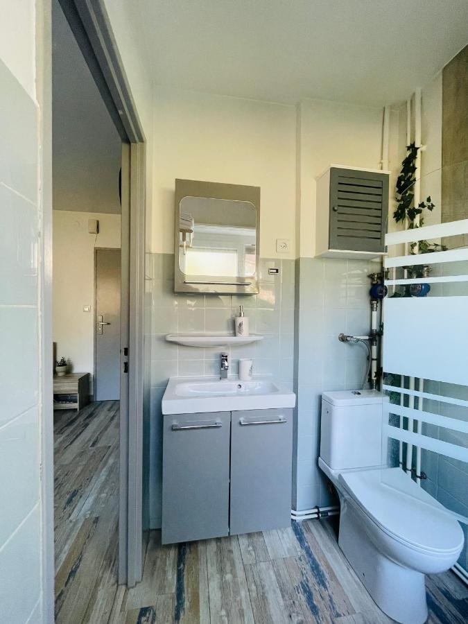 סאן לואיס Dnn - Stylish Studio - Free Wifi, Netflix And Parking - Min Away To Basel And Airport - Dishwasher, Washing Machine מראה חיצוני תמונה